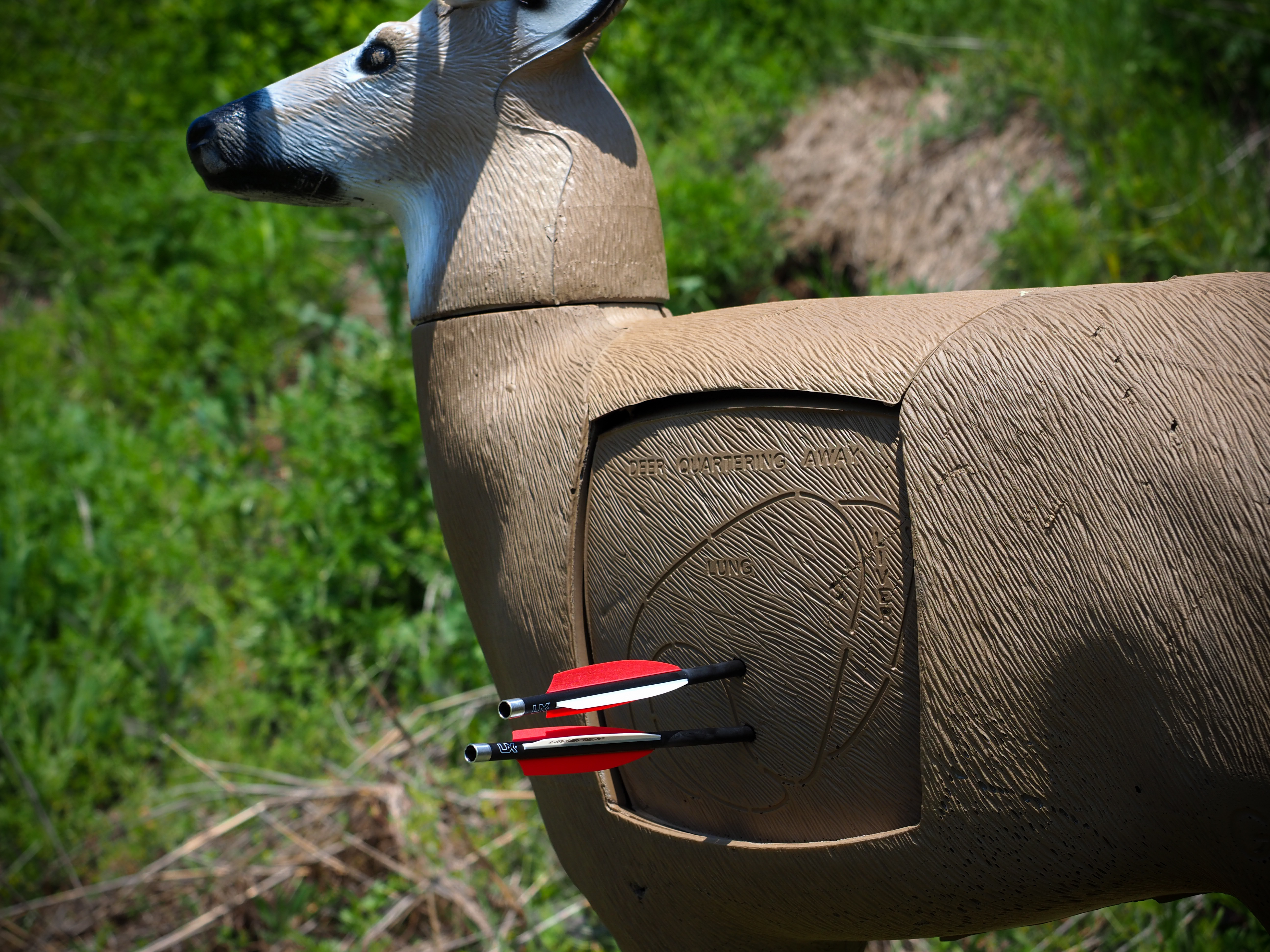 UMAREX AIRSABER ARROWS BURIED DEEP IN 3D DEER ARCHERY TARGET